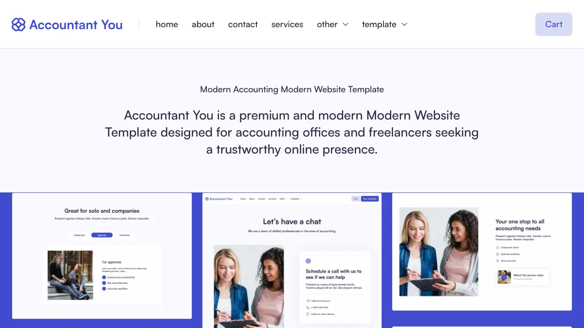 Screenshot of the Accountant You theme homepage