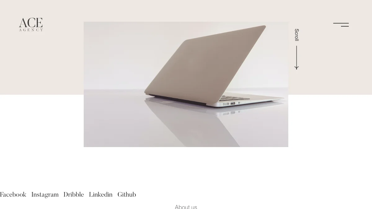 Screenshot of the Ace theme homepage