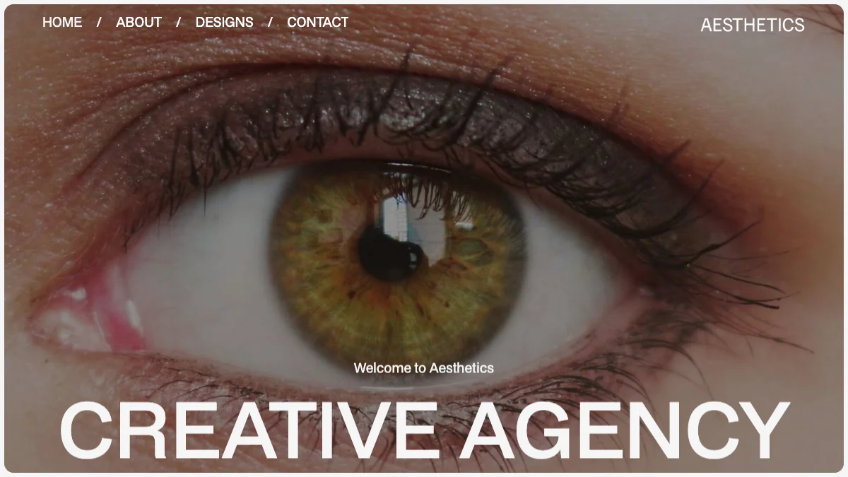 Screenshot of the AesThetics theme homepage