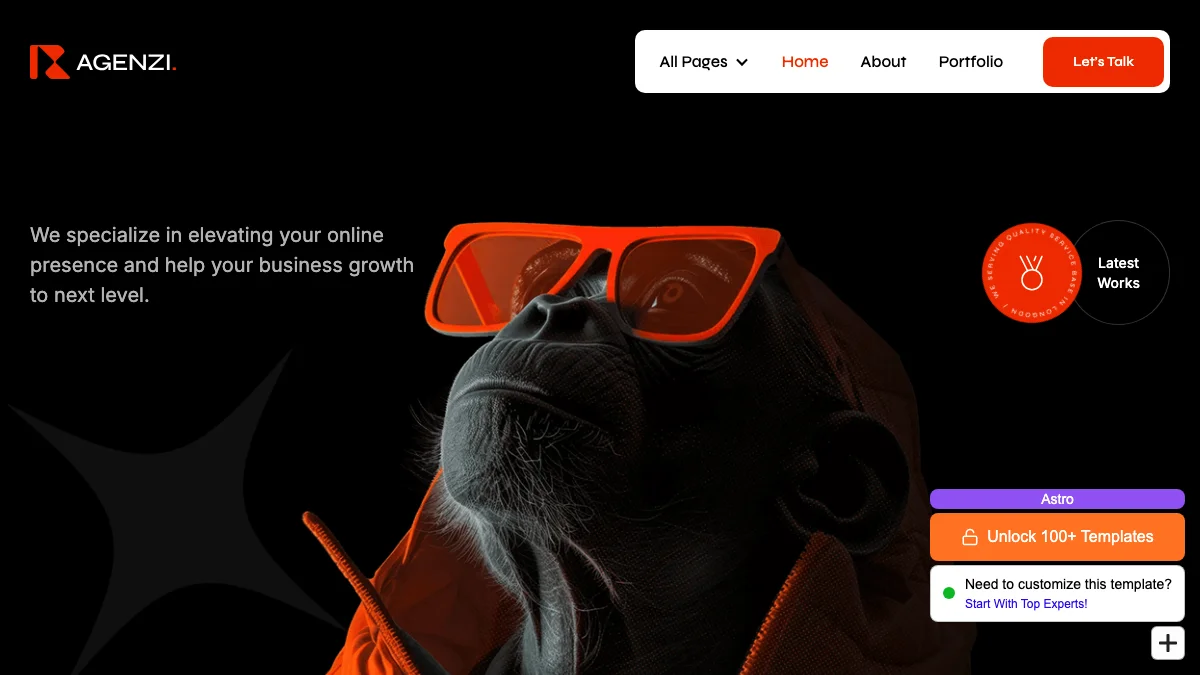 Screenshot of the Ageenzi theme homepage