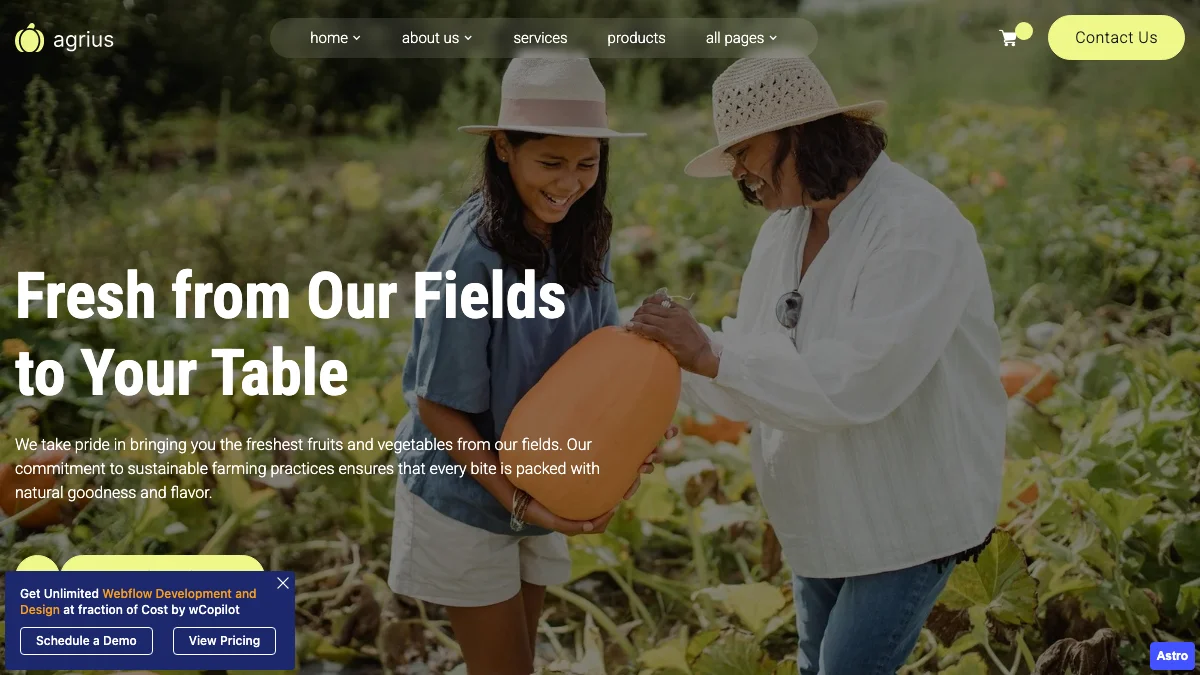 Screenshot of the Agrius theme homepage