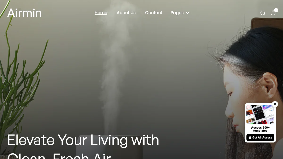 Screenshot of the Airmin theme homepage
