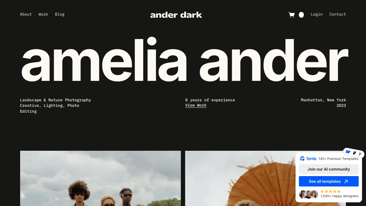 Screenshot of the AnderDark theme homepage