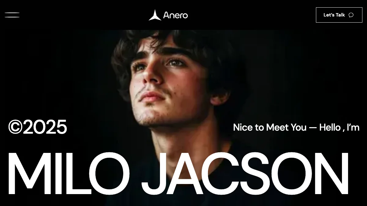 Screenshot of the Anero theme homepage