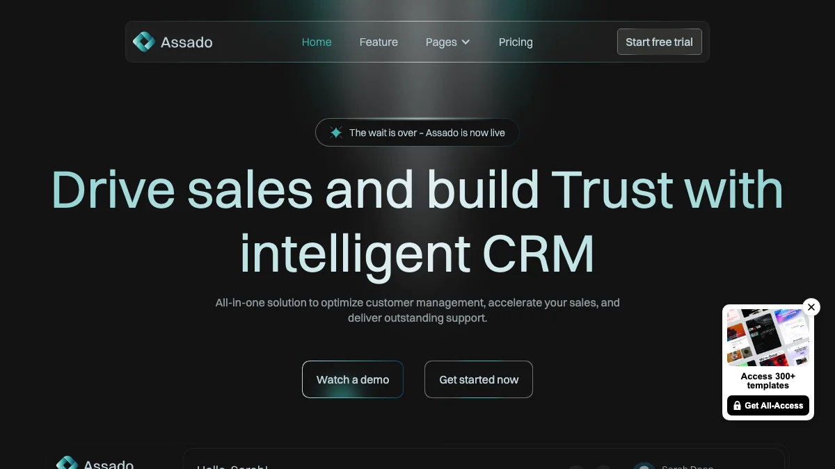 Screenshot of the Assado theme homepage