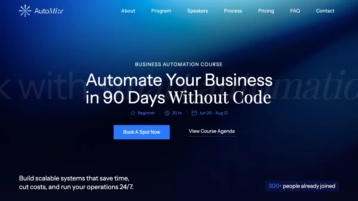 Screenshot of the AutoMize theme homepage