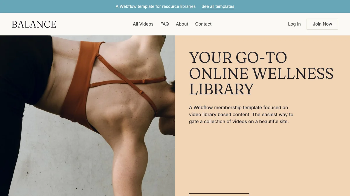 Screenshot of the Balance theme homepage