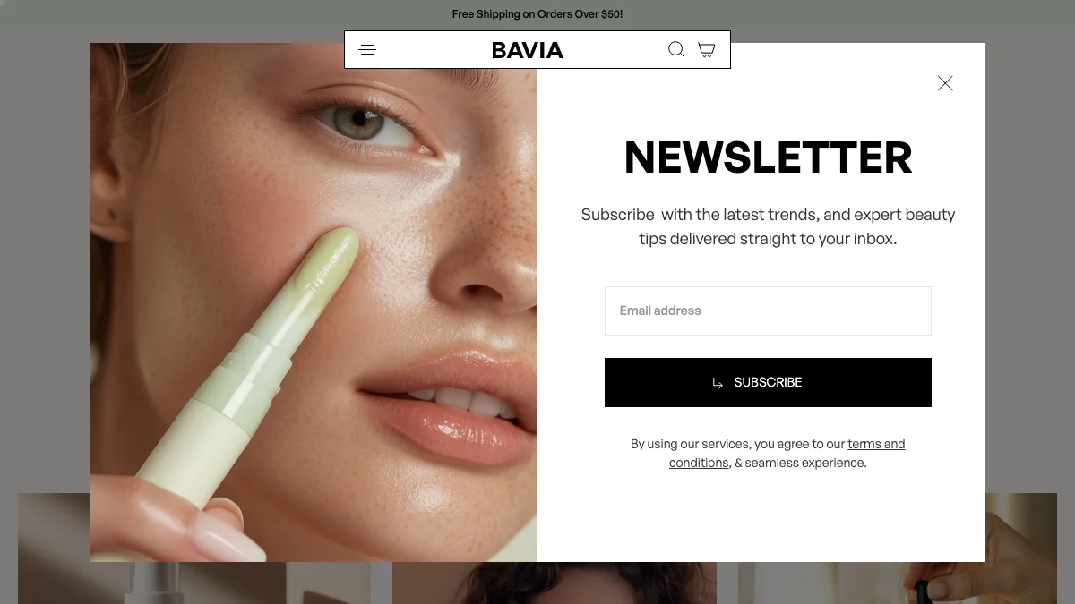 Screenshot of the Bavia theme homepage