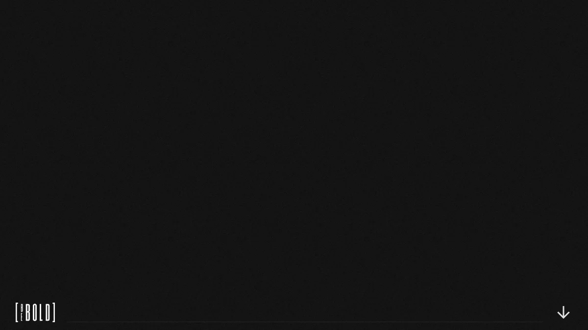 Screenshot of the BEBOLD theme homepage