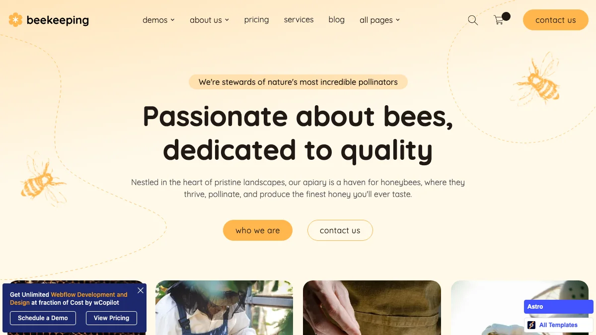 Screenshot of the Beekeeping theme homepage