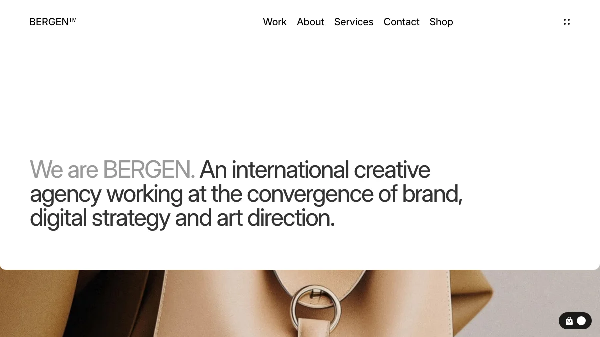 Screenshot of the BERGEN theme homepage