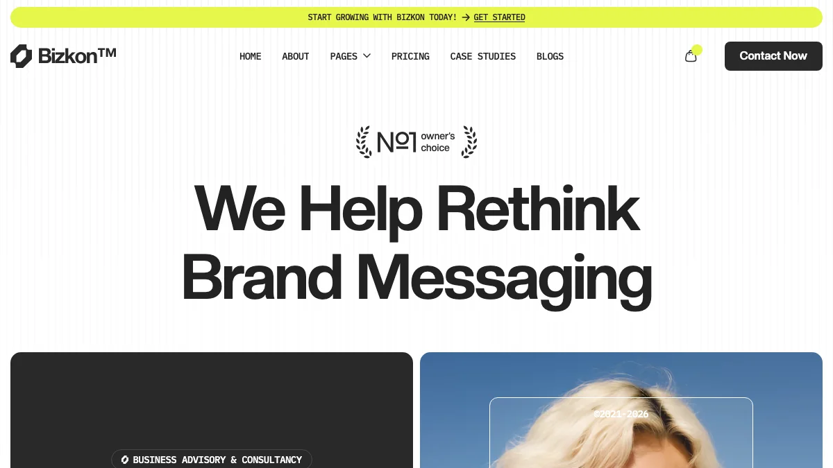 Screenshot of the Bizkon theme homepage