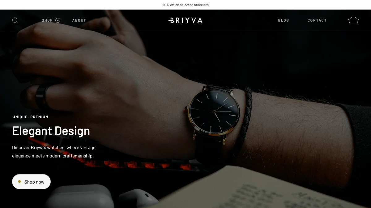 Screenshot of the Briyva theme homepage