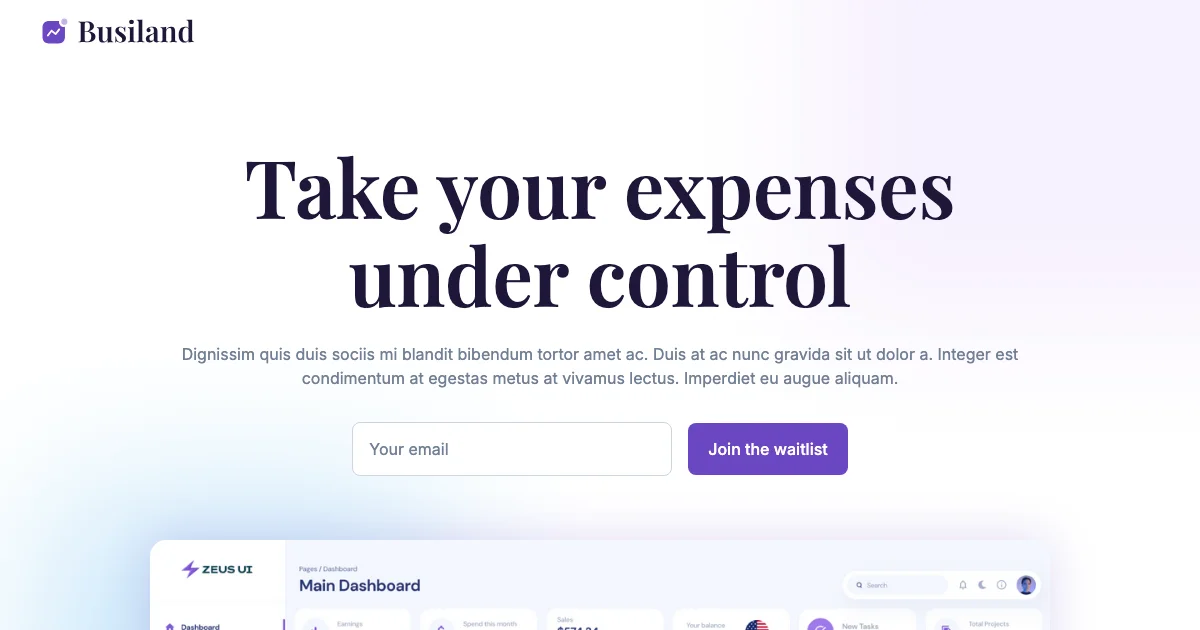 Screenshot of the Busiland theme homepage