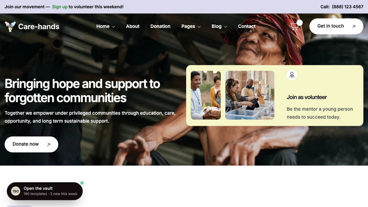 Screenshot of the Care Hands theme homepage
