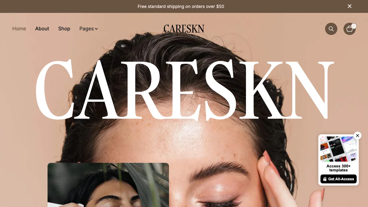 Screenshot of the Careskn theme homepage