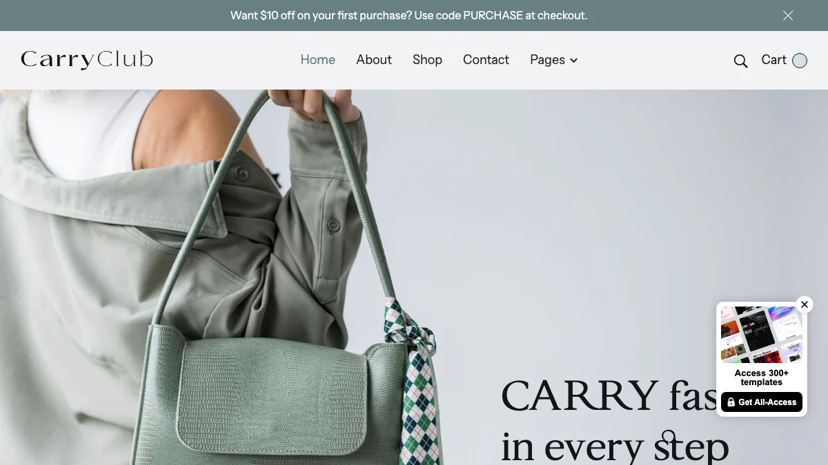 Screenshot of the CarryClub theme homepage