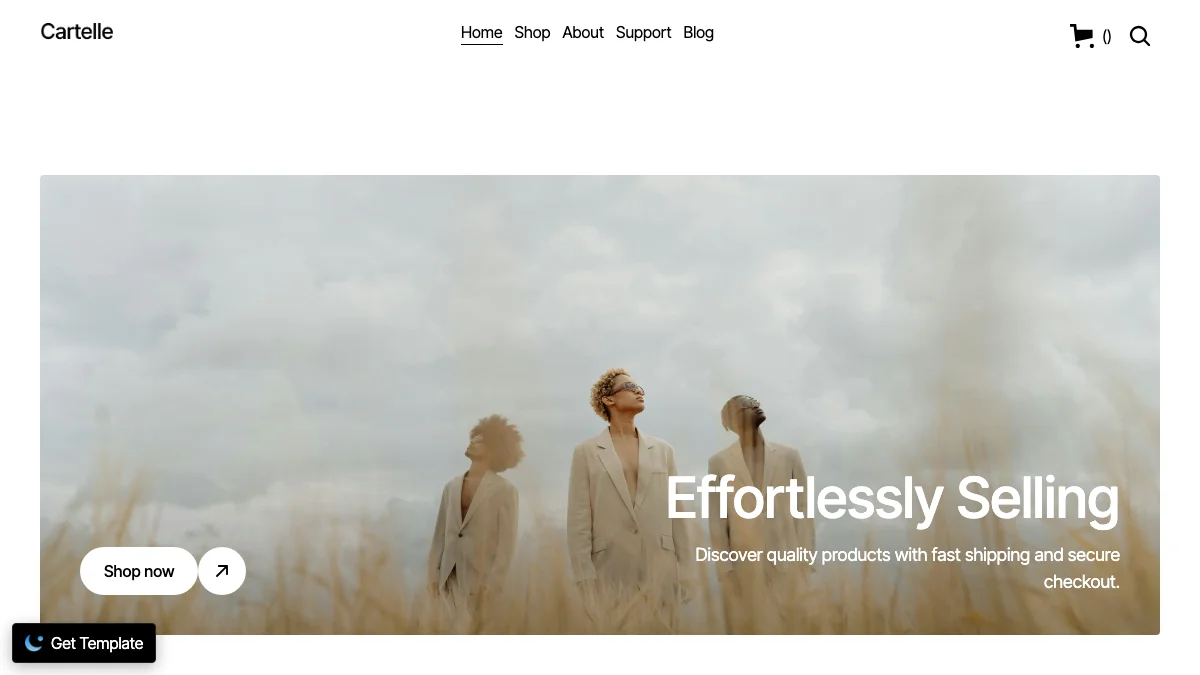Screenshot of the Cartelle theme homepage