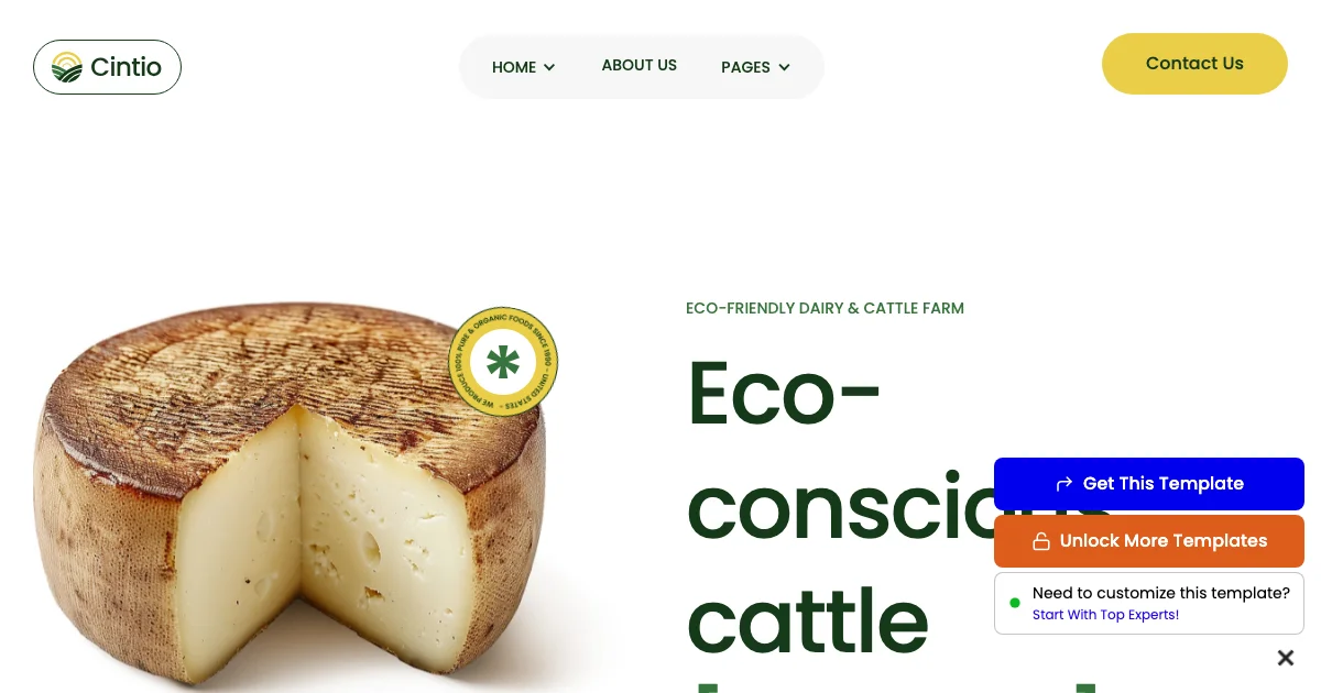 Screenshot of the Cintio theme homepage