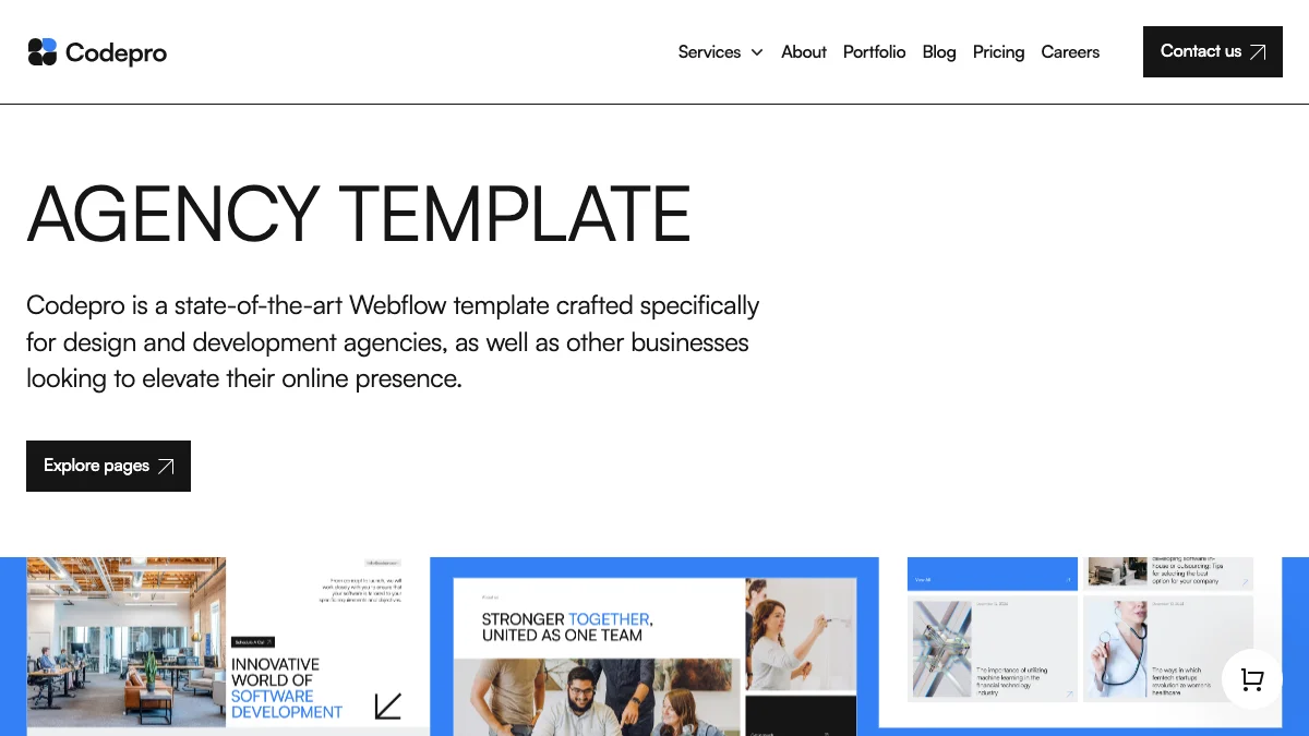 Screenshot of the Code Pro theme homepage