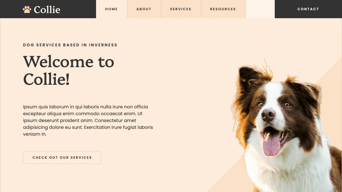 Screenshot of the Collie theme homepage