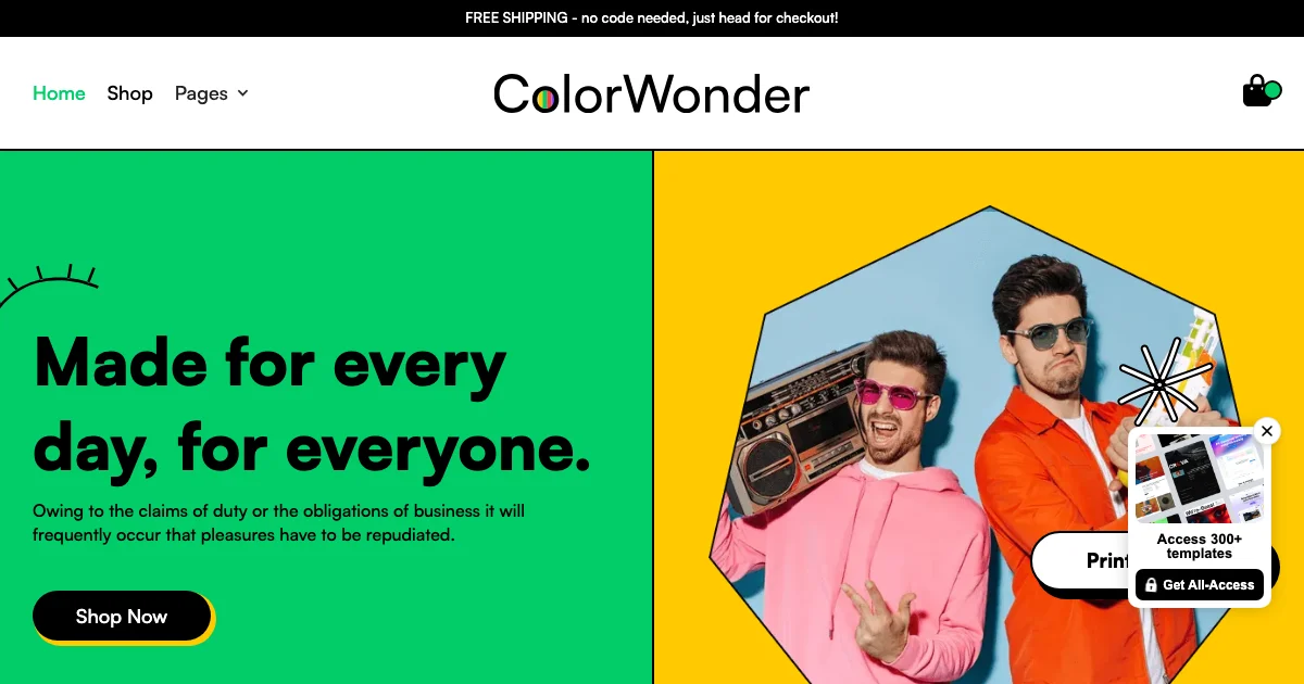Screenshot of the ColorWonder theme homepage