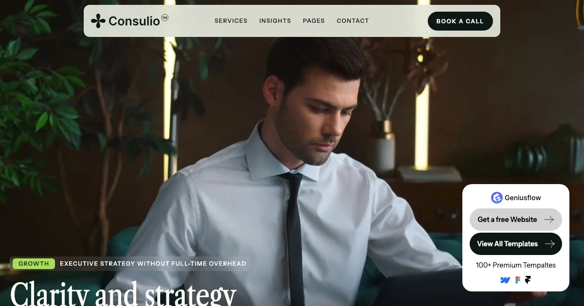Screenshot of the Consilio theme homepage