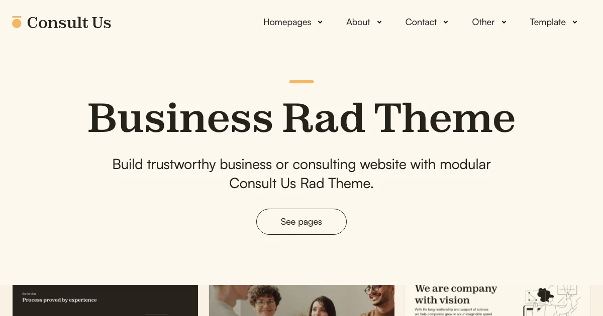 Screenshot of the Consult Us theme homepage
