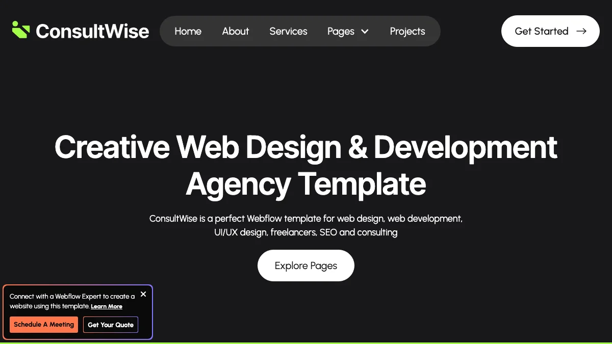 Screenshot of the ConsultWise theme homepage