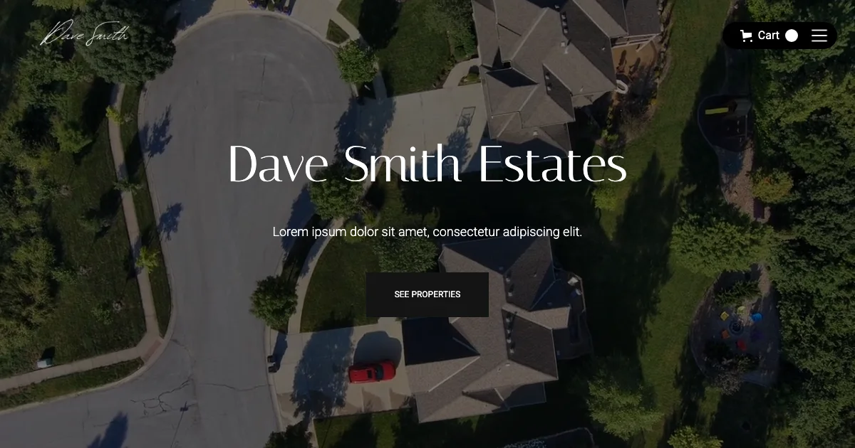 Screenshot of the Dave Smith theme homepage