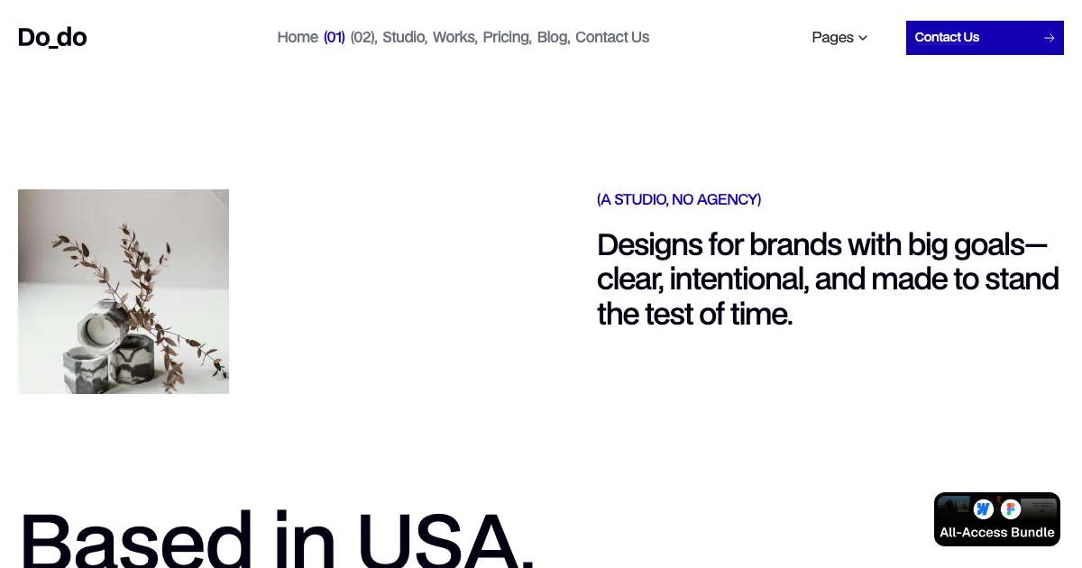 Screenshot of the Do Do Studio theme homepage