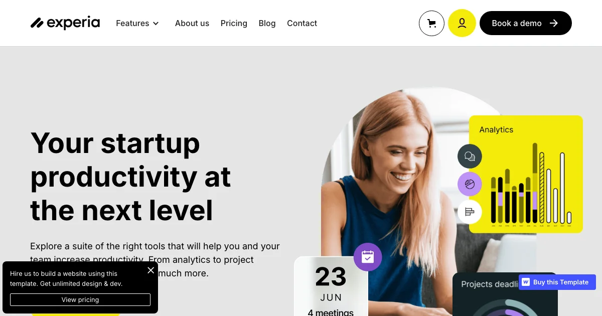Screenshot of the Experia theme homepage