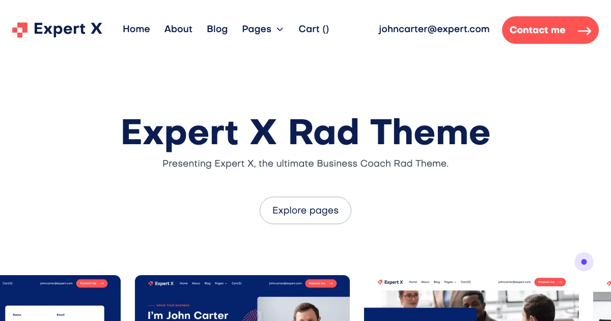Screenshot of the Expert X theme homepage